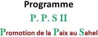 logo pps II